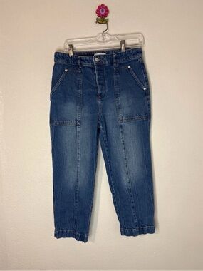 Ann Taylor Loft Straight Cropped Up Seamed Denim Jeans 30/10P.